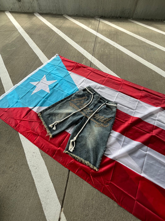 PUERTO RICO TO THE WORLD 🇵🇷